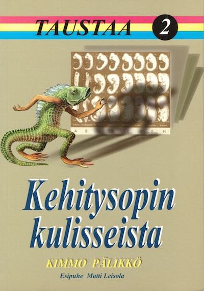 Taustaa 2, Kehitysopin kulisseista, Kimmo Pälikkö, Suomen Tunnustuksellinen Luterilainen Kirkko