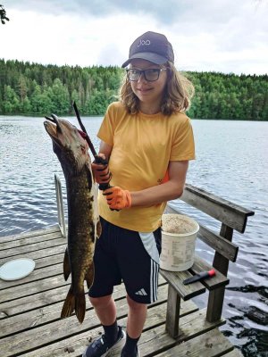 Viljo ja hauki